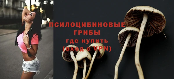 гидра Абдулино