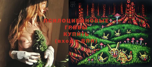 Альфа ПВП Абаза