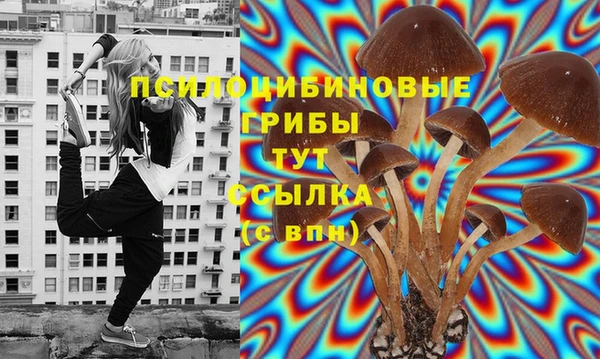 гидра Абдулино