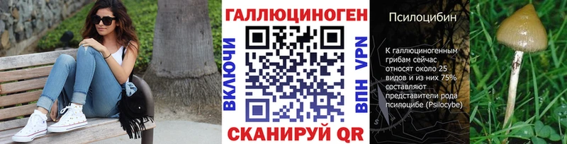 Псилоцибиновые грибы прущие грибы Шиханы